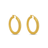 Gold hoop earrings on a white background