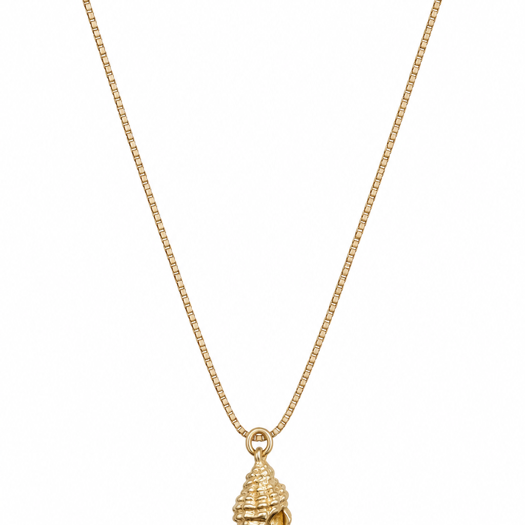 A gold chain necklace with a small spiral seashell pendant.