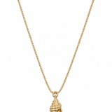 A gold chain necklace with a small spiral seashell pendant.