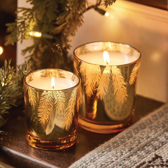 GILDED POURED CANDLE FRASIER FIR 13 OZ